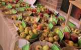 Fete-de-la-Pomme-2023_046