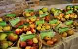 Fete-de-la-Pomme-2023_047