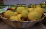 Fete-de-la-Pomme-2023_050