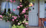 Fête des roses 2018_01