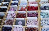 Fête des roses 2018_29