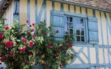 Fête des roses 2018_47