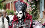 Fête des roses 2017_02