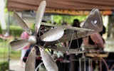 Fête des roses 2017_13