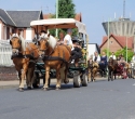 Fete du cheval11