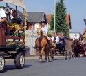 Fete du cheval12