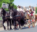 Fete du cheval14