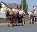 Fete du cheval15
