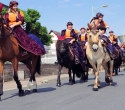 Fete du cheval18