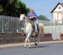 Fete du cheval24