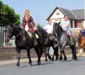 Fete du cheval25