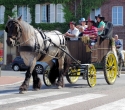 Fete du cheval41