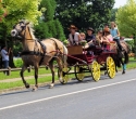 Fete du cheval52