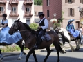 Fête du cheval 2016_04