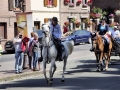 Fête du cheval 2016_06