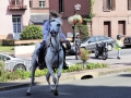 Fête du cheval 2016_07