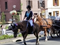 Fête du cheval 2016_08