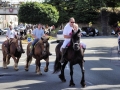 Fête du cheval 2016_12