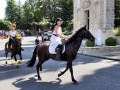 Fête du cheval 2016_15