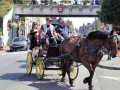 Fête du cheval 2016_16