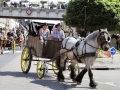 Fête du cheval 2016_17
