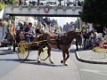 Fête du cheval 2016_18