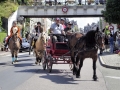 Fête du cheval 2016_19