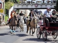 Fête du cheval 2016_20
