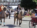 Fête du cheval 2016_21