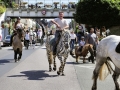 Fête du cheval 2016_22