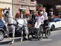 Fête du cheval 2016_23