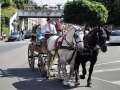 Fête du cheval 2016_26