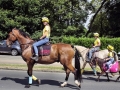 Fête du cheval 2016_32