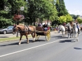 Fête du cheval 2016_33