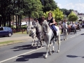Fête du cheval 2016_34