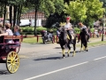 Fête du cheval 2016_38