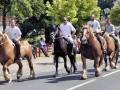 Fête du cheval 2016_39