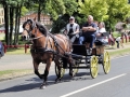 Fête du cheval 2016_41