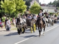 Fête du cheval 2016_42