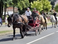Fête du cheval 2016_43