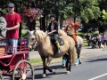 Fête du cheval 2016_44