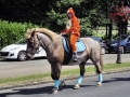 Fête du cheval 2016_45
