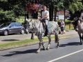 Fête du cheval 2016_47
