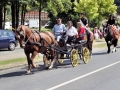Fête du cheval 2016_48