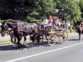 Fête du cheval 2016_49