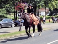 Fête du cheval 2016_50