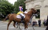 Fête du Cheval 2017_02