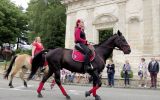 Fête du Cheval 2017_03