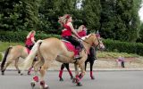 Fête du Cheval 2017_04