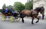 Fête du Cheval 2017_07